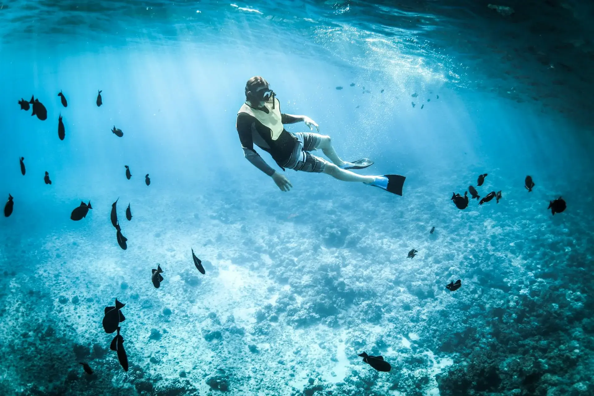 Snorkeling in St. Barth: The Best Spots and What You'll See Underwater